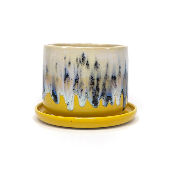 Planter 2