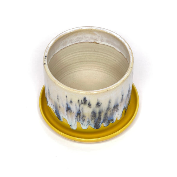 Planter 2