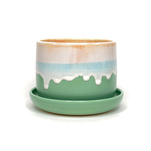 Planter 2