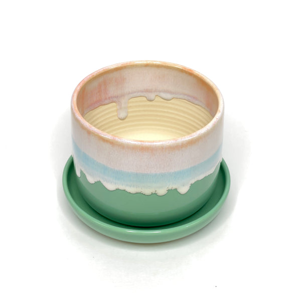 Planter 2